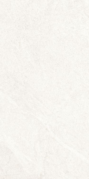 Dhara White Matte 12 x 24